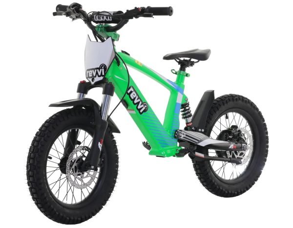 revvi green xl bike